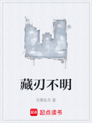 藏刃不明在线阅读