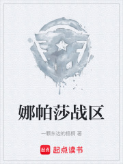 娜帕莎战区在线阅读