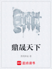 鼎晟天下在线阅读