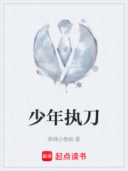 少年执刀在线阅读