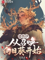 德鲁伊：从召唤向日葵开始封面