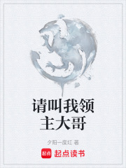 请叫我领主大哥