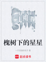 槐树下的星星在线阅读