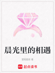 晨光里的相遇在线阅读