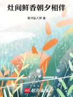 灶间鲜香朝夕相伴最新章节在线阅读