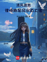 清风渡煞：律师她是风水真大佬在线阅读
