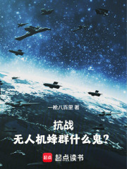 抗战：无人机蜂群什么鬼？在线阅读