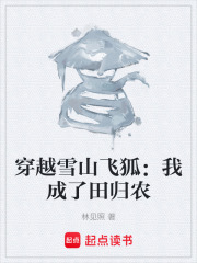 穿越雪山飞狐：我成了田归农在线阅读