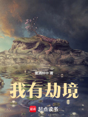 我有劫境