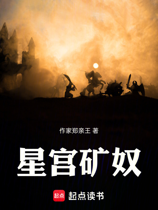 星宫矿奴封面