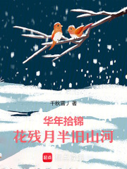 华年拾锦，花残月半旧山河在线阅读