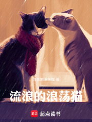 流浪的浪荡猫在线阅读