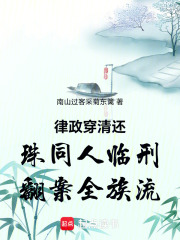 律政穿清还珠同人临刑翻案全族流在线阅读