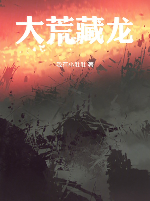 大荒藏龙封面