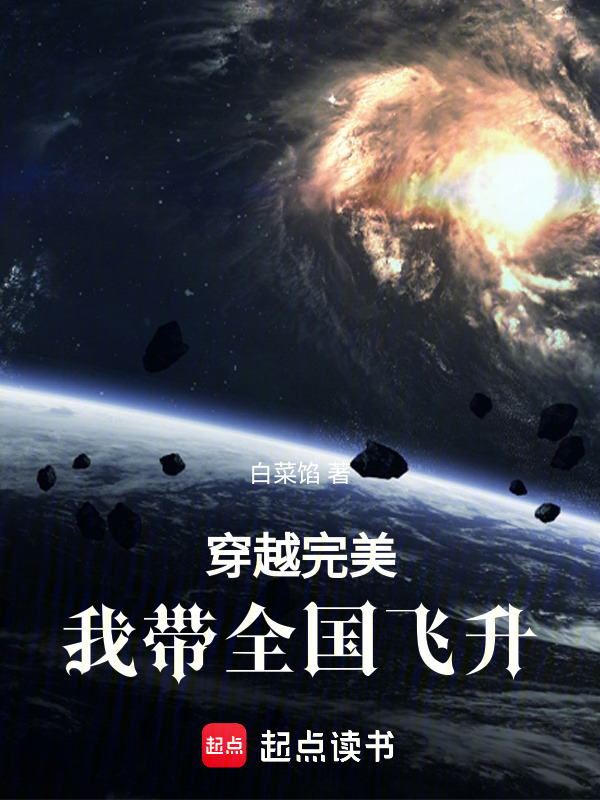 穿越完美，我带全国飞升封面