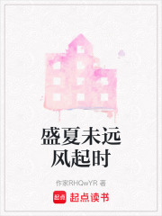 盛夏未远风起时在线阅读