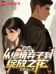 抗战：从绝境弃子到绽放之花在线阅读