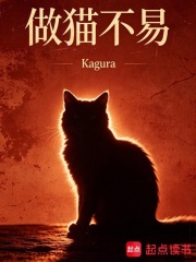 做猫不易在线阅读