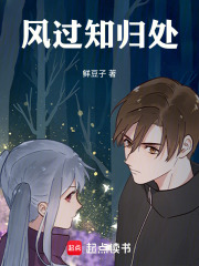 风过知归处在线阅读