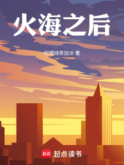 火海之后在线阅读