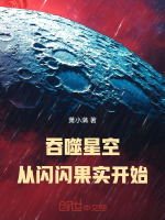 吞噬星空：从闪闪果实开始封面