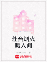 灶台烟火暖人间在线阅读