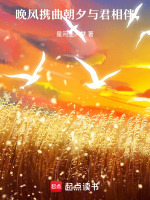 晚风携曲朝夕与君相伴最新章节在线阅读