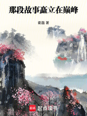 那段故事矗立在巅峰在线阅读