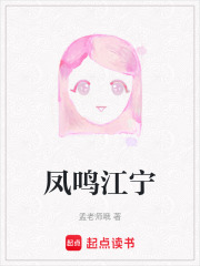 凤鸣江宁在线阅读