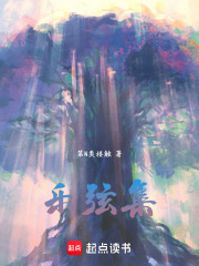 乐弦集在线阅读