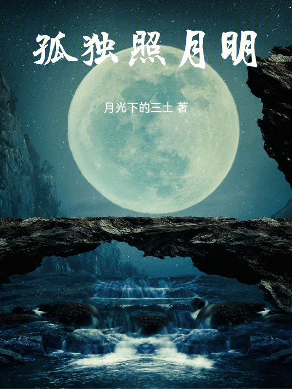 孤独照月明在线阅读