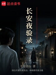 长安夜验录在线阅读