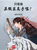 只有我在假装高手吗？封面