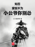 知否：家奴不为，小公爷你别怂封面