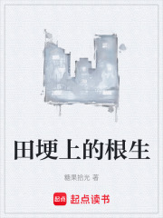 田埂上的根生在线阅读