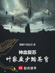 神血复苏，叶家废少踏苍穹在线阅读