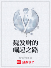 魏发财的崛起之路在线阅读