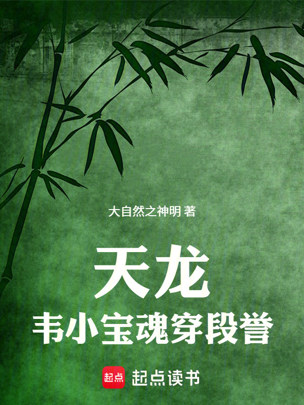 天龙：韦小宝魂穿段誉在线阅读