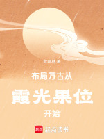 布局万古从霞光果位开始在线阅读