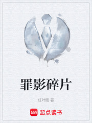 罪影碎片在线阅读