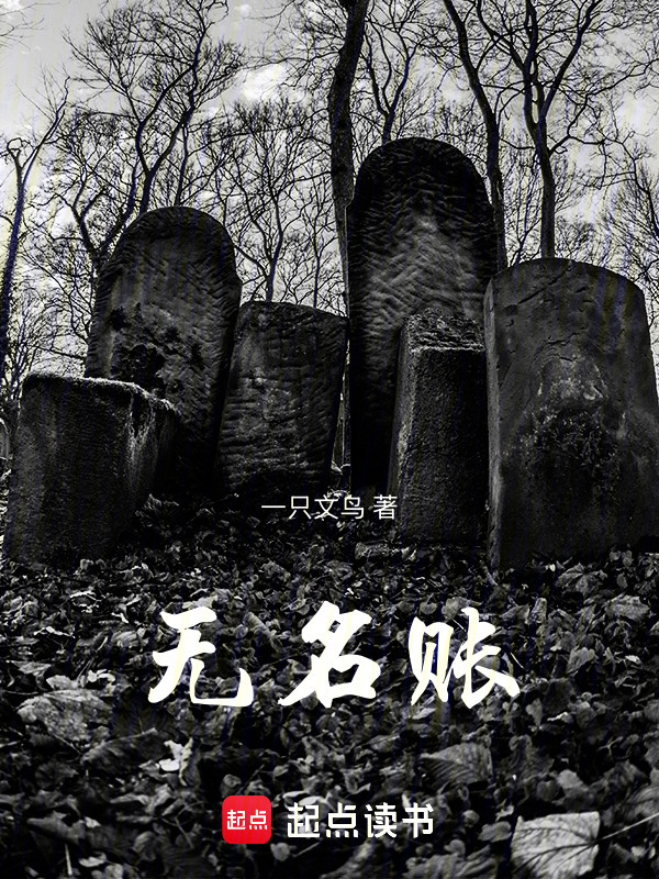 无名账在线阅读