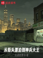 从街头漂泊到神兵大王在线阅读