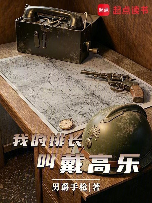 我的排长戴高乐在线阅读