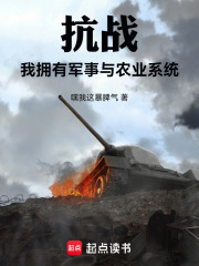 抗战，我拥有军事与农业系统在线阅读