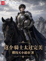 这个骑士太过完美封面