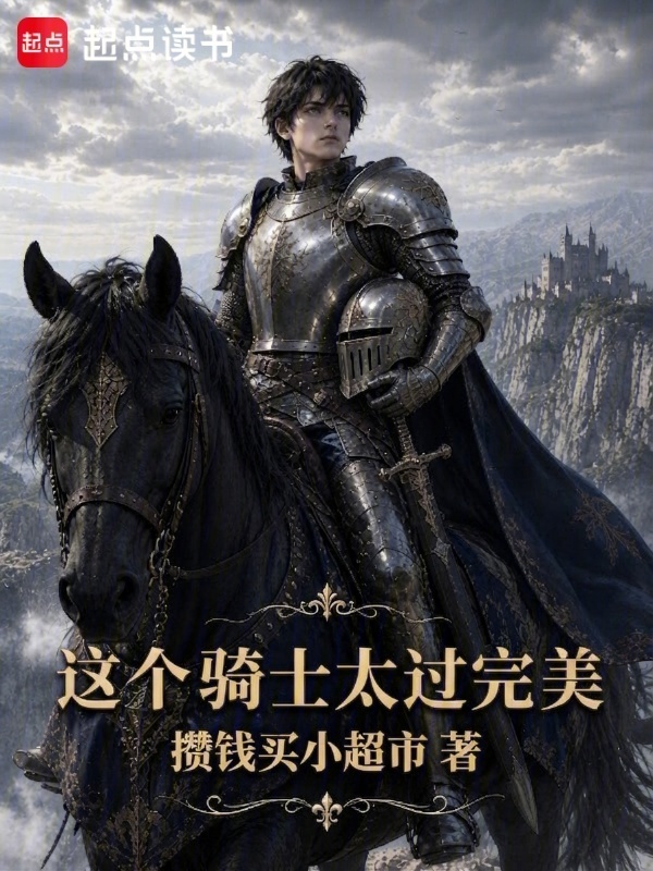 这个骑士太过完美在线阅读