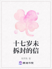 十七岁未拆封的信在线阅读