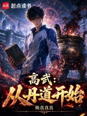 高武，从丹道开始在线阅读