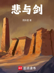 悲与剑在线阅读
