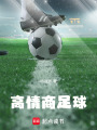 高情商足球在线阅读